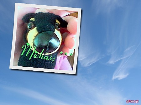 Micha mj;***
