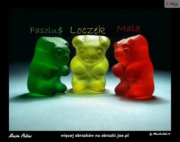Wpis zelkojadkaxxd