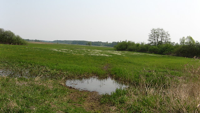 BaaaGno