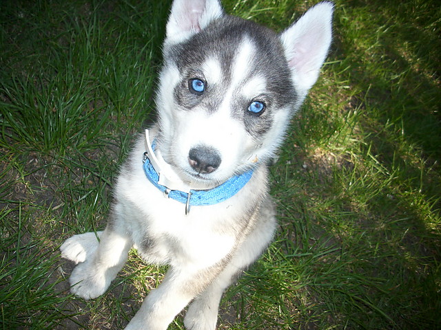 Koniec.!
