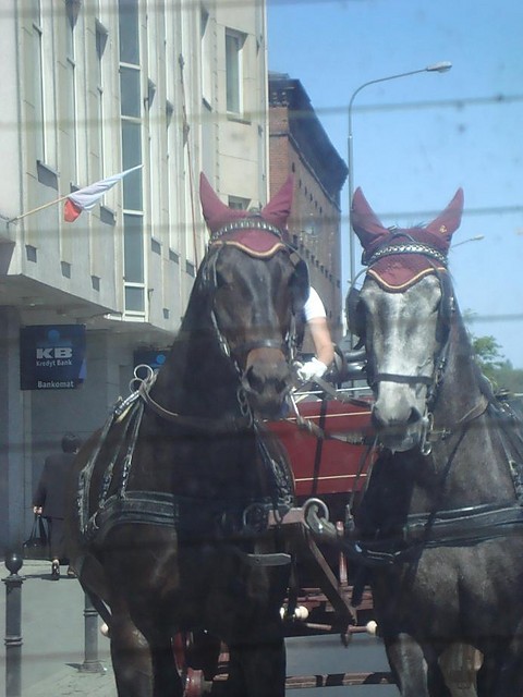 Wpis zahipn0tyzowana