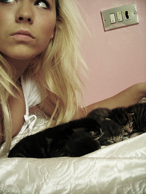 hello kitty : *
