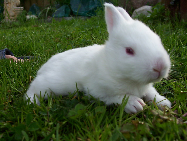 biae cudo ^^