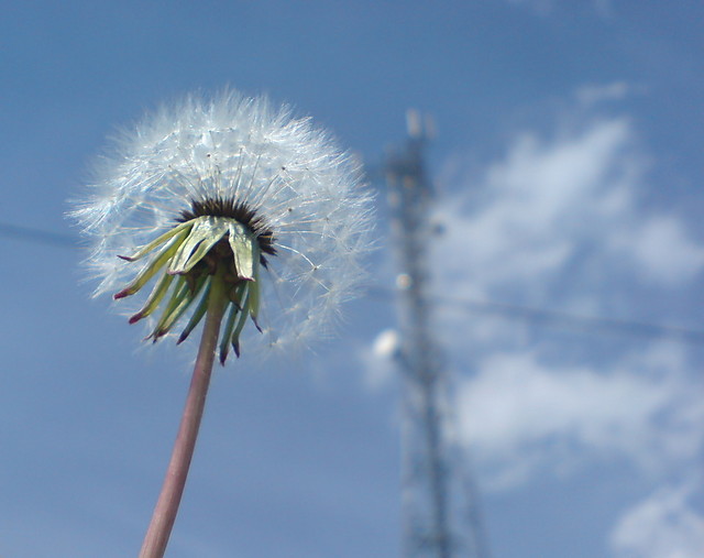 Wpis fotograf10