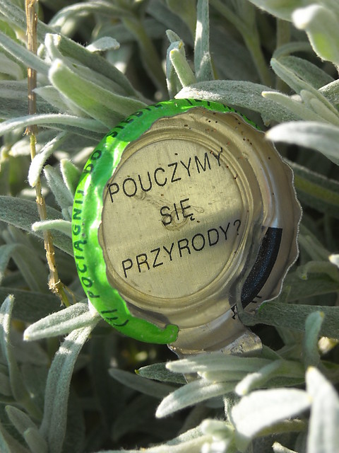 Wpis tymbaarkomania