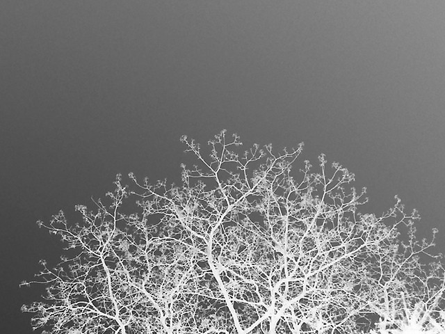 Wpis grayxworld