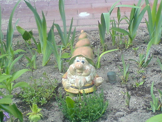 Krasnal ;]