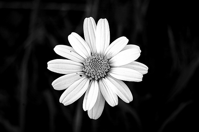 softly.