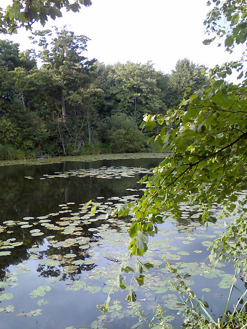 The canal