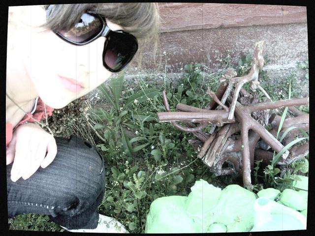 Wpis plasticktoy