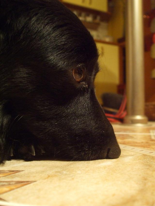 Tina.