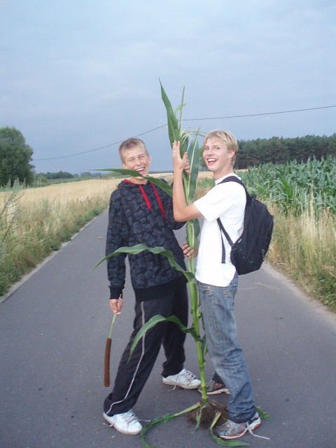 wakacje
