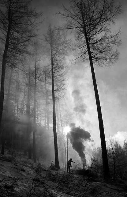 Wolno - kocham i rozumiem
