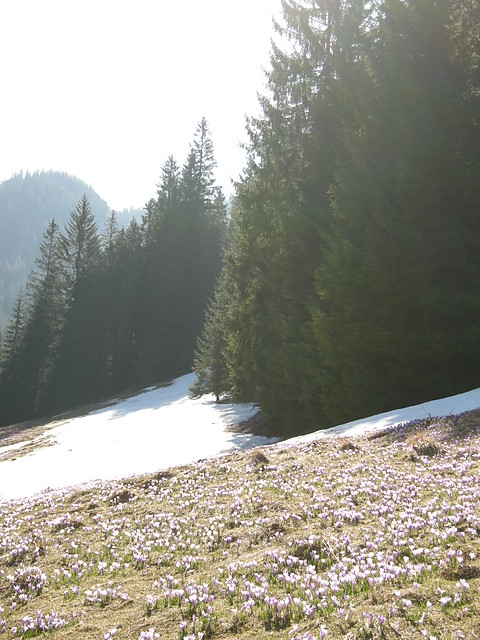 Tatry