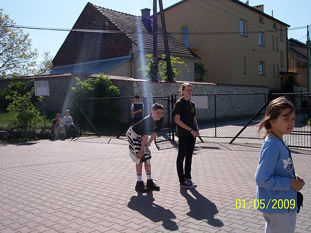 Wpis fioletowyrzemyk