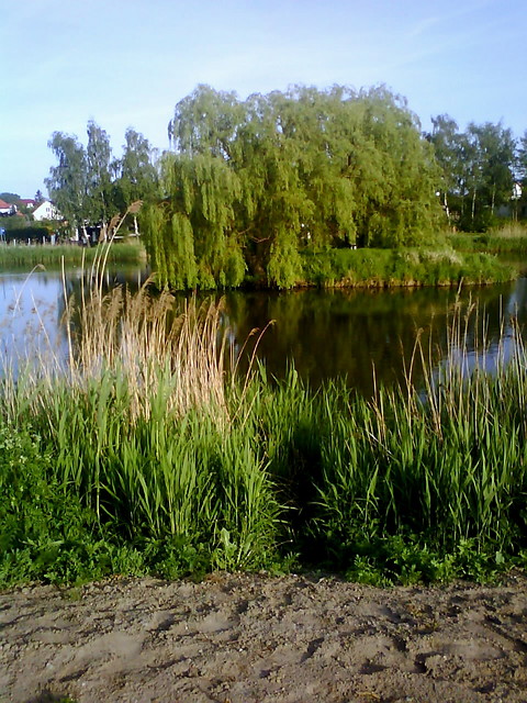 Wpis bartek19956