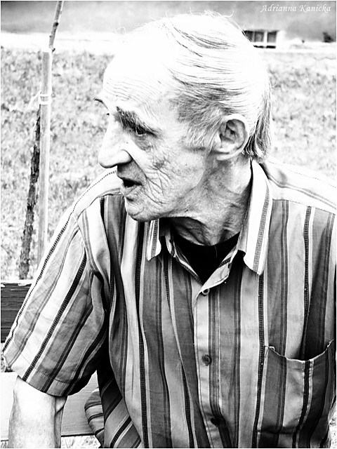 Wpis czamellka