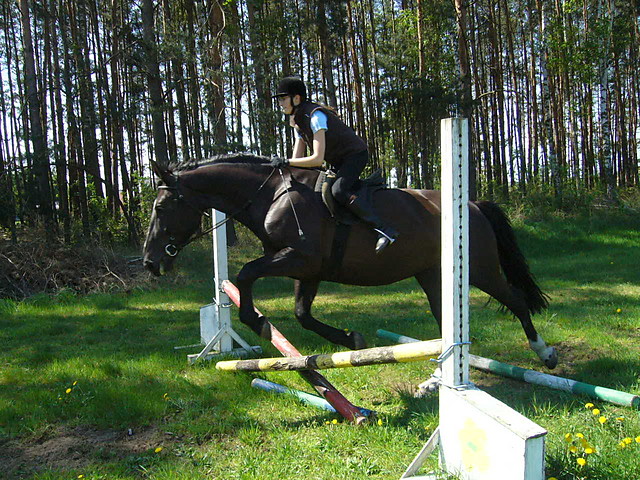 Wpis mojerumaczki