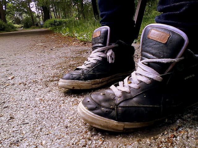 Wlaz..