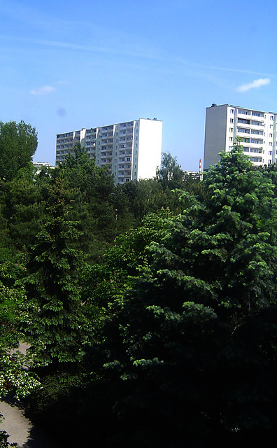 ` ycie jest do dupy ... 
