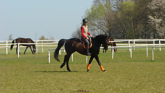 galop ;)