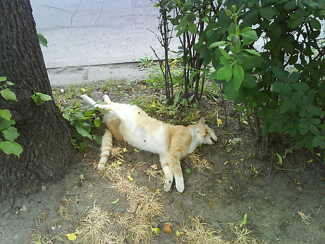 Najwaniejszy jest umiech :)