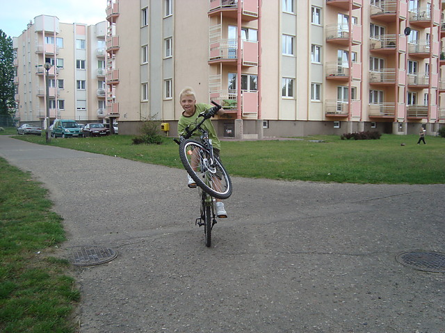 Wpis skuti96