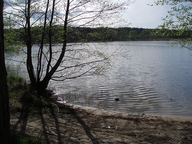Zbychowo (: