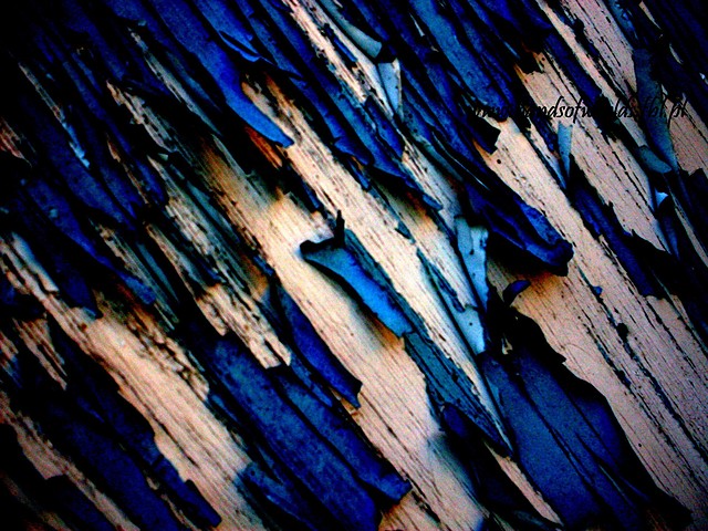Wpis handsofworlds