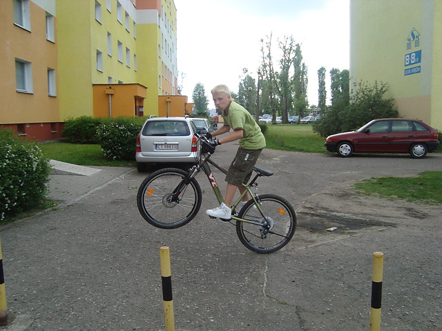 Wpis skuti96
