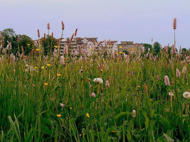 moje miasto - moje ycie.