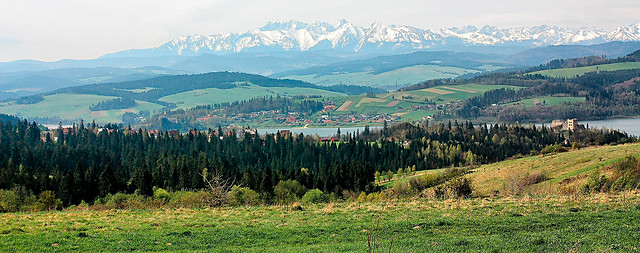Wpis niedzielna