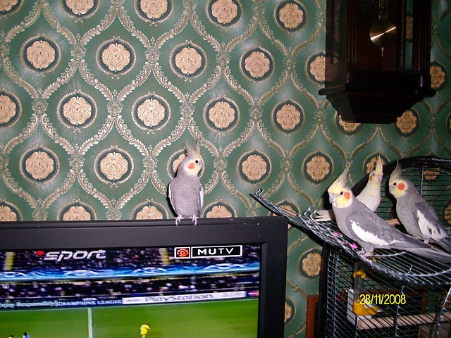 nie ma to jak sport