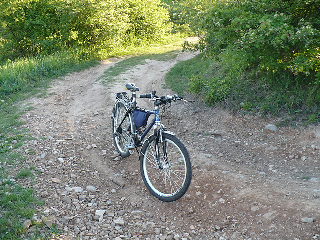 Merida