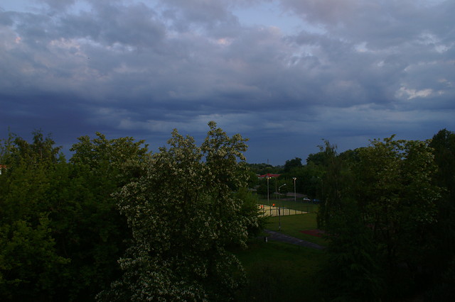 Wpis basiek91
