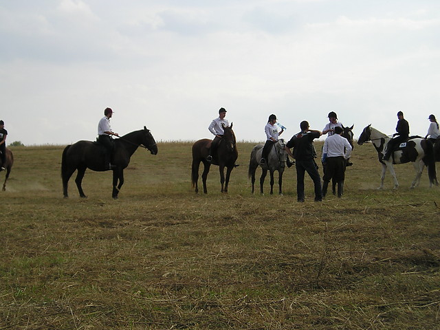 Wpis sheridans