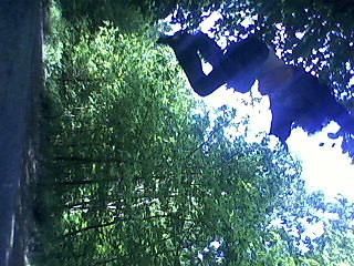 Wpis gargus