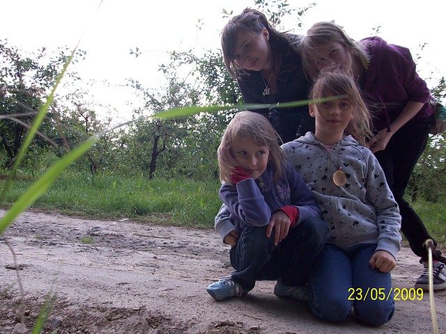 Wpis niedopasowane