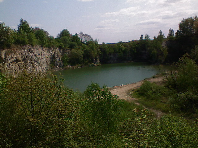 Wpis fioletowyrzemyk