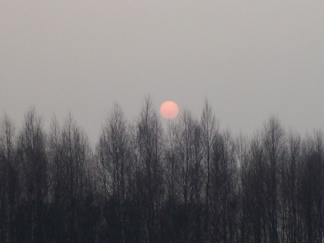 Wpis tibauld