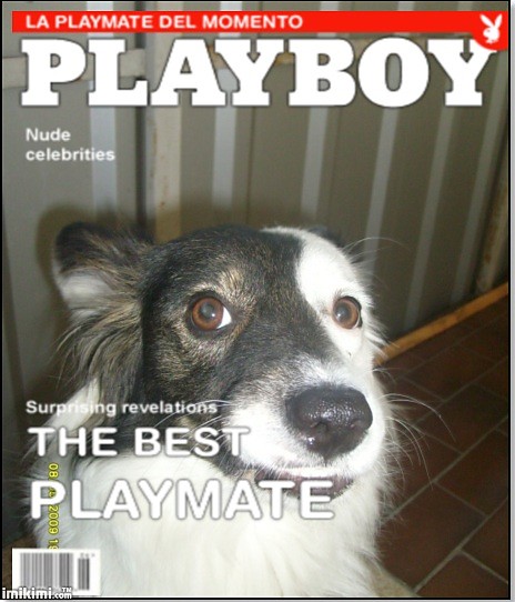 The Best Playmate `09 ^^