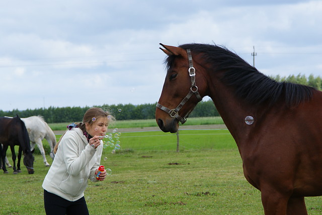 Wpis biedronkawpaski
