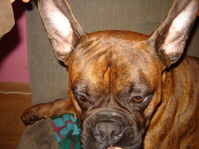 Roki
