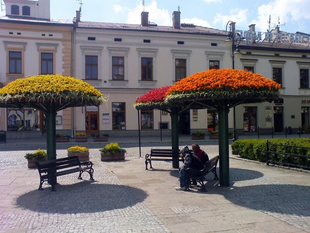 Wpis kruszyn