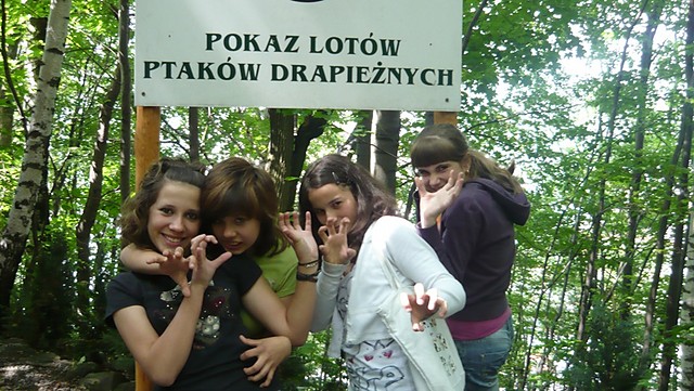 Pokaz Lotw Ptakw Drapienych