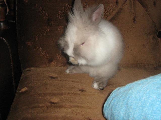 ZuZia .. ;*