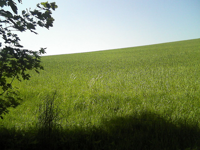 Wpis szalonapoziomka