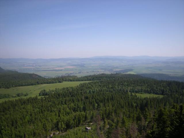 widoczek.