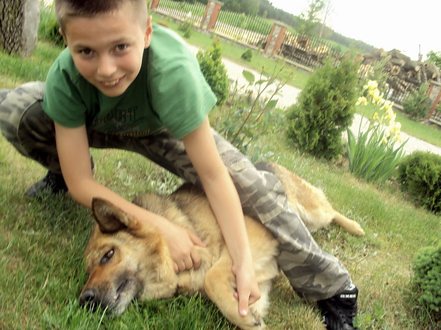 z  sar :D 