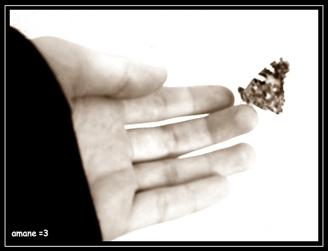 For hope I`d give my everything